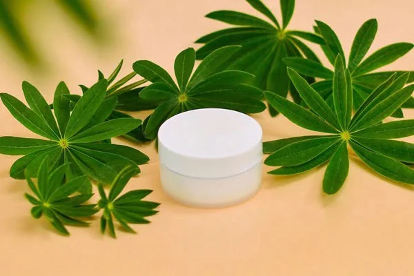 pots de crème cosmétique pour le visage